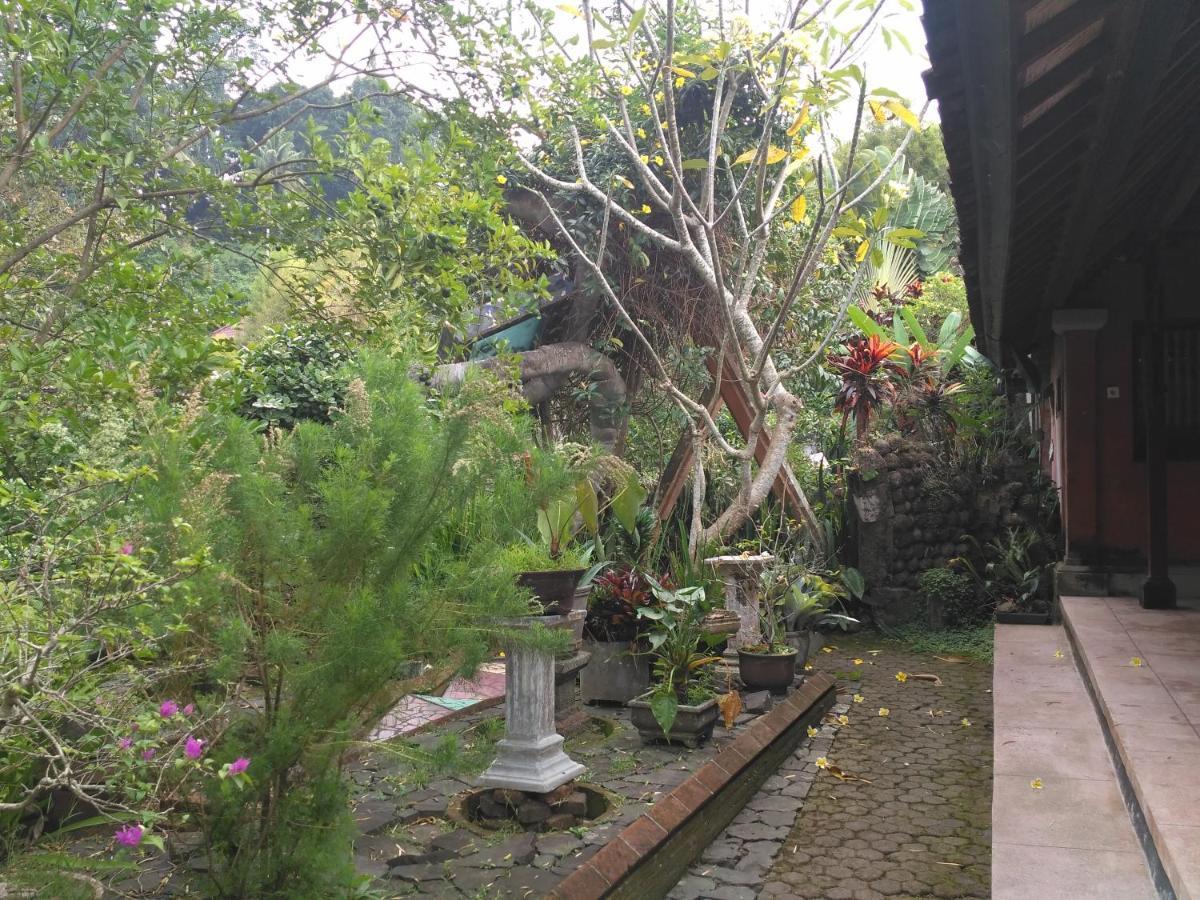Dhangin Taman Karangasem  Ngoại thất bức ảnh